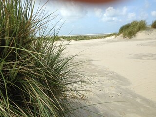 Appartamento per vacanze Borkum Ambiente 23