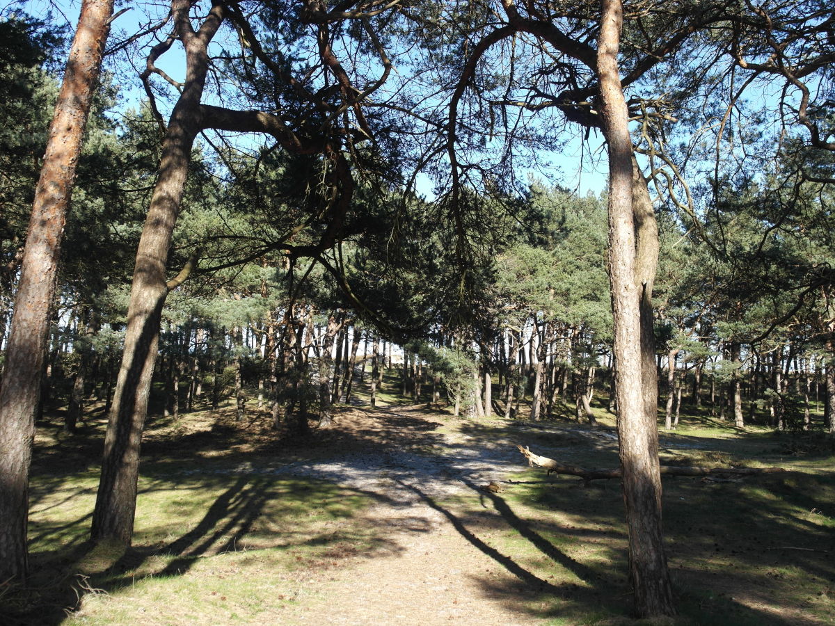 Ferienhaus Alessia, Breege, Firma Mausa/Wilmes GbR - Roland Wilmes