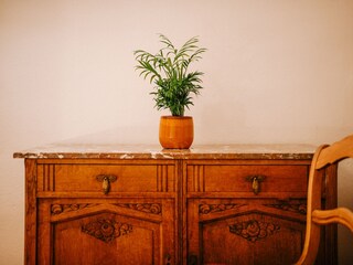 Vakantiehuisje Löningen Kenmerken 23