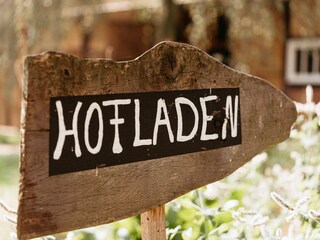 Type de propriété : Chalet Löningen Environnement 32