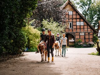 Vakantiehuisje Löningen Omgeving 34