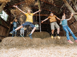 Vakantiehuisje Löningen Omgeving 35