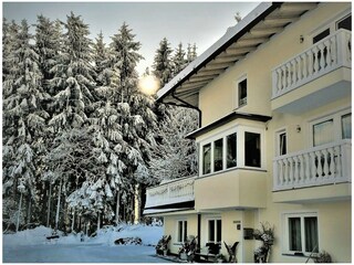 Appartamento per vacanze Ried im Zillertal Registrazione all'aperto 3