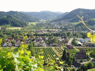 Blick nach Oberkirch-Köhlersiedlung