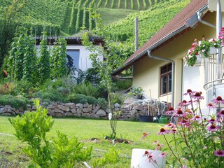 Blick in den Garten