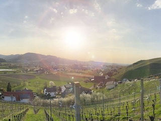 Ferienwohnung Lautenbach Außenaufnahme 14