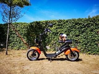 Parc de vacances Merlimont  8