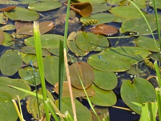 Chalet Norwich Ambiente 22