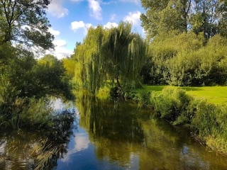 Chalet Norwich Environment 19