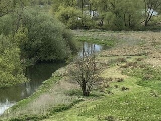 Vakantiehuis Norwich Omgeving 38