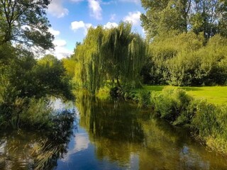 Casa per le vacanze Norwich Ambiente 42