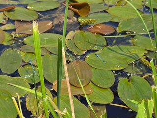 Maison de vacances Norwich Environnement 44