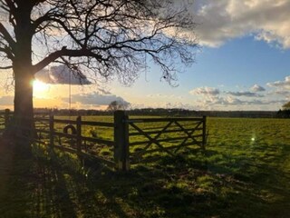 Ferienhaus Norwich Umgebung 24