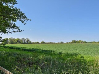 Vakantiehuis Norwich Omgeving 25