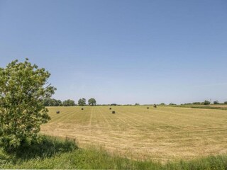 Casa per le vacanze Norwich Ambiente 26