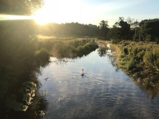 Casa per le vacanze Norwich Ambiente 27