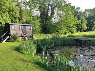 Casa per le vacanze Norwich Caratteristiche 10