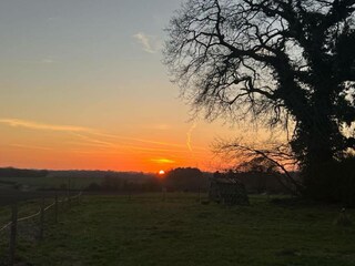 Holiday house Norwich Environment 29