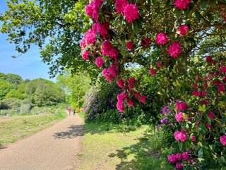 Casa per le vacanze Norwich Ambiente 18