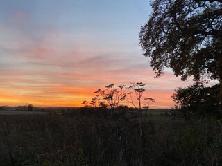 Maison de vacances Norwich Environnement 19