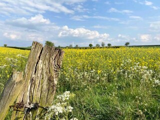 Vakantiehuis Norwich Omgeving 20