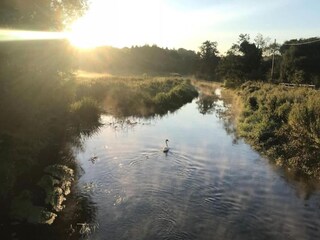 Holiday house Norwich Environment 24