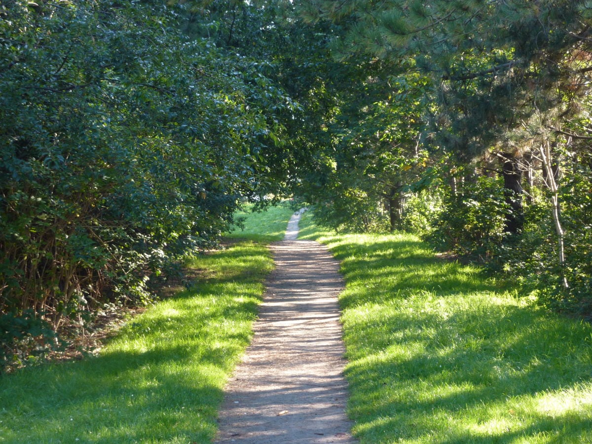 Grünweg am Objekt