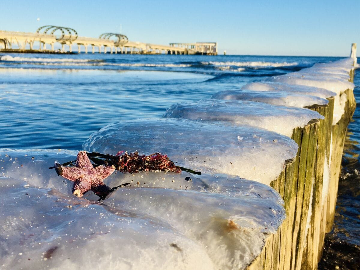 Winterzauber am Meer