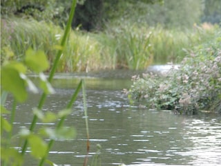 Erholung auf dem Wasser