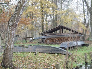 Der Streewald im  Herbst