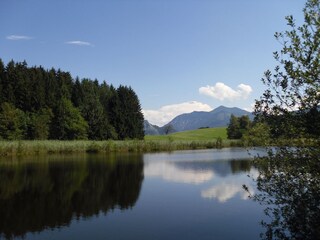 Naturschutzgebiet "Egelsee" 5.min vom Hof entfernt