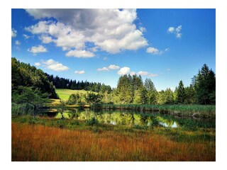 Appartamento per vacanze Unterach am Attersee Registrazione all'aperto 5