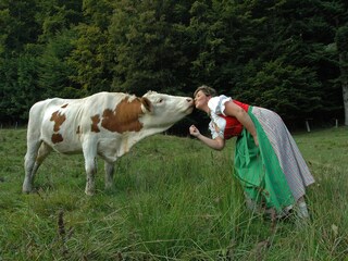 Appartamento per vacanze Unterach am Attersee Registrazione all'aperto 15