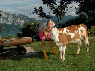 Appartamento per vacanze Unterach am Attersee Ambiente 27