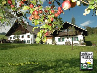 Holiday apartment Unterach am Attersee Outdoor Recording 3