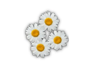 Appartamento per vacanze Unterach am Attersee Documento 33