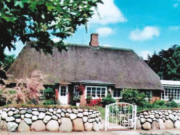 Holiday apartment in the Frisian-House with thatched roof