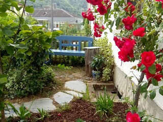 Holiday apartment Bernkastel-Kues Outdoor Recording 7