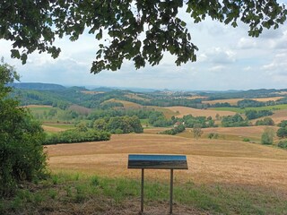 Aussicht vom Wachberg