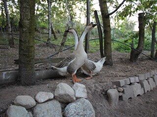 Appartamento per vacanze Tisens Registrazione all'aperto 4