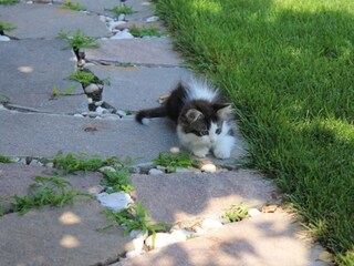 Appartamento per vacanze Tisens Registrazione all'aperto 6