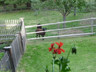 Casa per le vacanze Gnesau Registrazione all'aperto 6