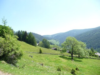 Casa per le vacanze Gnesau Ambiente 19