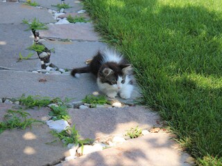 Appartamento per vacanze Tisens Registrazione all'aperto 8