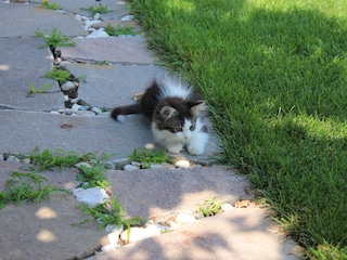 Vakantieappartement Tisens Buitenaudio-opname 8