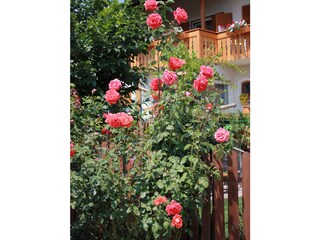 Vakantieappartement Tisens Buitenaudio-opname 9