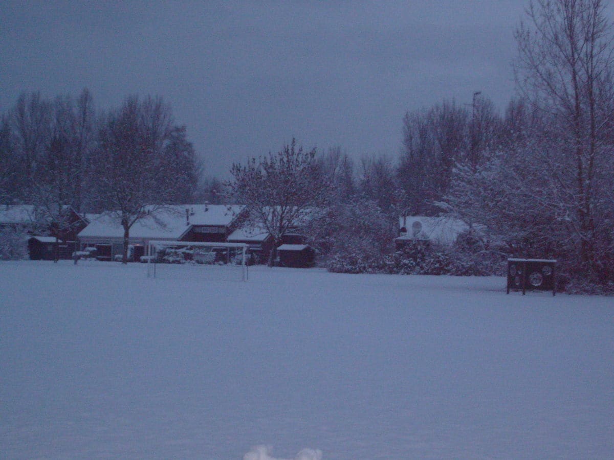 Winterimpressionen im Park