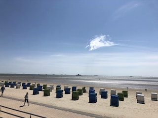 Blick auf die Halligen