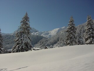 Appartamento per vacanze Gargellen Ambiente 20