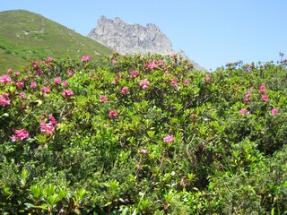 Appartamento per vacanze Gargellen Ambiente 23